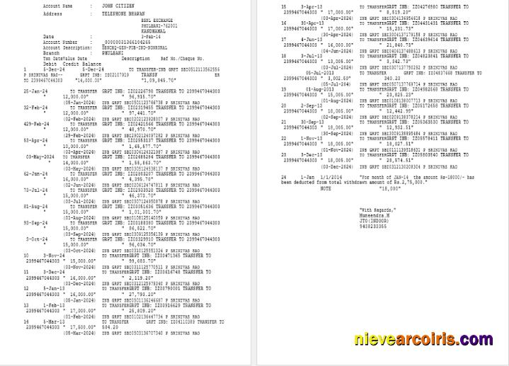 India Phulbani Bank of India statement Word and PDF example, 2 pages